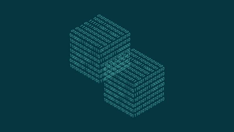 黑龙江信创改造：网络应用开发流程标准化的核心路径与实践